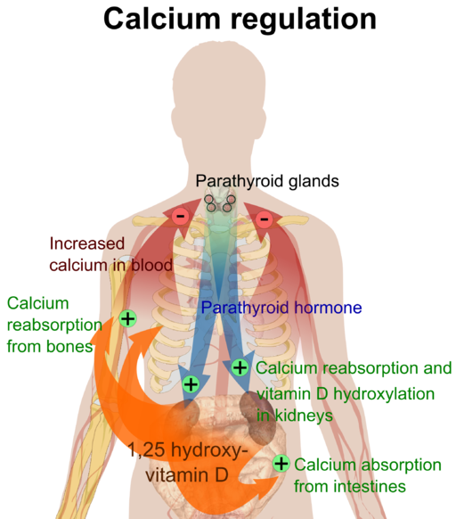 can high calcium cause kidney problems